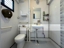 Blk 217 Petir Road (Bukit Panjang), HDB 4 Rooms #502387291